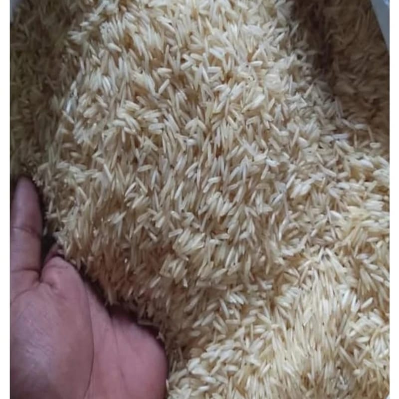 XXXL Biryani Basmati Rice 10kg – লম্বা দানা ও সুগন্ধি চাল |